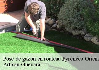 Pose de gazon en rouleau 66 Pyrénées-Orientales  Artisan Guevara