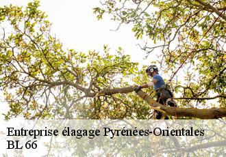 Entreprise élagage 66 Pyrénées-Orientales BL 66