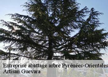 Entreprise abattage arbre 66 Pyrénées-Orientales  Artisan Guevara