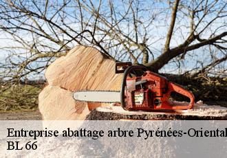 Entreprise abattage arbre 66 Pyrénées-Orientales  Artisan Guevara