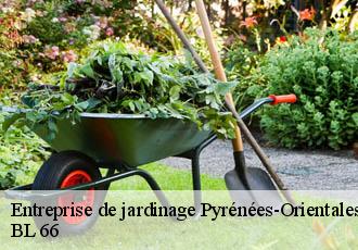 Entreprise de jardinage 66 Pyrénées-Orientales  Artisan Guevara