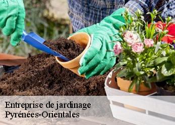 Entreprise de jardinage Pyrénées-Orientales 