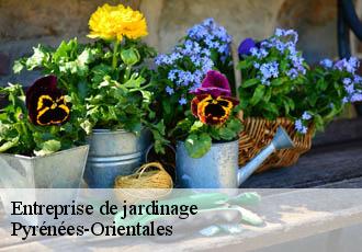 Entreprise de jardinage Pyrénées-Orientales