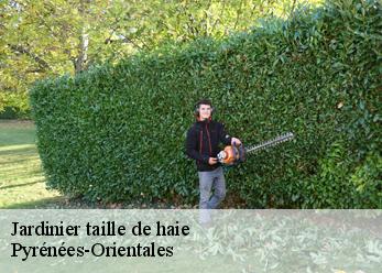 Jardinier taille de haie Pyrénées-Orientales 