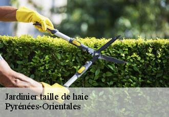 Jardinier taille de haie Pyrénées-Orientales 