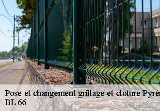 Pose et changement grillage et cloture 66 Pyrénées-Orientales  BL 66 
