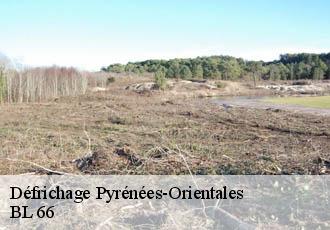 Défrichage 66 Pyrénées-Orientales BL 66