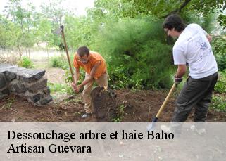Dessouchage arbre et haie  baho-66540 Artisan Guevara