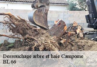 Dessouchage arbre et haie  campome-66500 Artisan Guevara