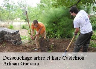 Dessouchage arbre et haie  castelnou-66300 Artisan Guevara