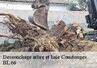 Dessouchage arbre et haie  coustouges-66260 Artisan Guevara