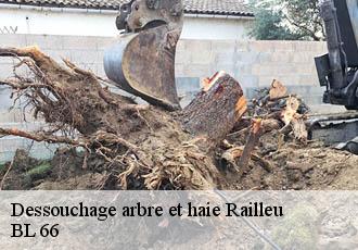 Dessouchage arbre et haie railleu-66360 BL 66