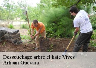 Dessouchage arbre et haie  vives-66400 Artisan Guevara