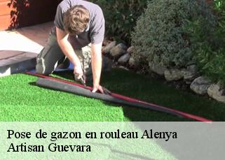 Pose de gazon en rouleau  alenya-66200 Artisan Guevara