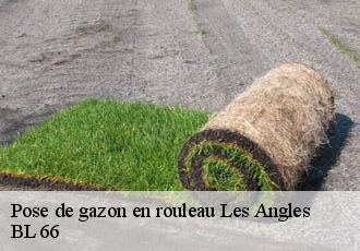 Pose de gazon en rouleau les-angles-66210 BL 66
