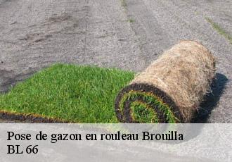 Pose de gazon en rouleau brouilla-66620 BL 66