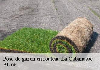 Pose de gazon en rouleau  la-cabanasse-66210 BL 66 