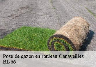 Pose de gazon en rouleau canaveilles-66360 BL 66