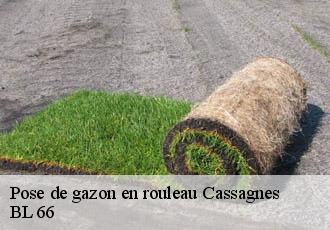 Pose de gazon en rouleau cassagnes-66720 BL 66