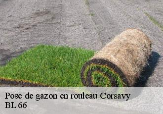Pose de gazon en rouleau corsavy-66150 BL 66
