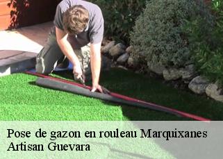 Pose de gazon en rouleau  marquixanes-66320 Artisan Guevara