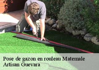 Pose de gazon en rouleau  matemale-66210 Artisan Guevara