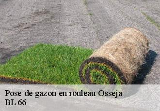 Pose de gazon en rouleau osseja-66340 BL 66