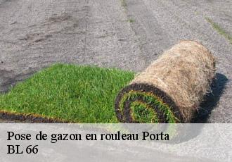 Pose de gazon en rouleau porta-66760 BL 66