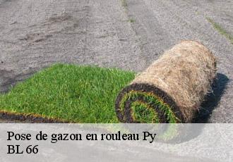 Pose de gazon en rouleau py-66360 BL 66