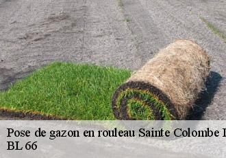 Pose de gazon en rouleau sainte-colombe-de-la-commanderie-66300 BL 66