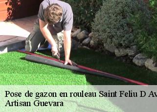 Pose de gazon en rouleau  saint-feliu-d-avall-66170 Artisan Guevara