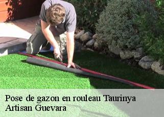 Pose de gazon en rouleau  taurinya-66500 Artisan Guevara