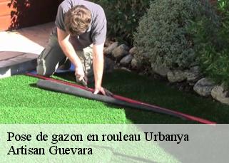 Pose de gazon en rouleau  urbanya-66500 Artisan Guevara