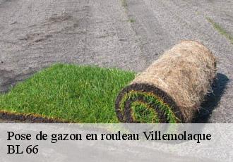 Pose de gazon en rouleau villemolaque-66300 BL 66
