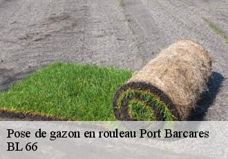 Pose de gazon en rouleau port-barcares-66420 BL 66