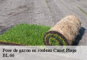 Pose de gazon en rouleau canet-plage-66140 BL 66