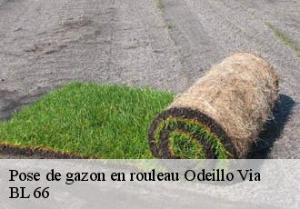 Pose de gazon en rouleau odeillo-via-66120 BL 66