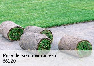Pose de gazon en rouleau 66120