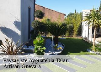 Paysagiste  ayguatebia-talau-66360 Artisan Guevara