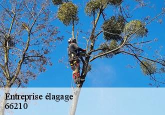 Entreprise élagage 66210