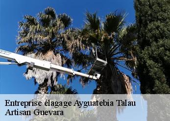 Entreprise élagage  ayguatebia-talau-66360 Artisan Guevara