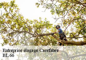 Entreprise élagage casefabre-66130 BL 66
