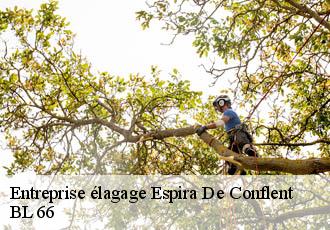 Entreprise élagage espira-de-conflent-66320 BL 66