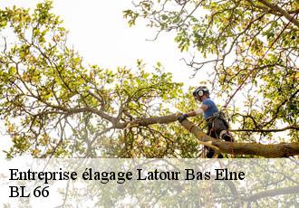 Entreprise élagage latour-bas-elne-66200 BL 66
