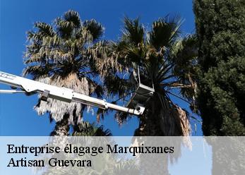 Entreprise élagage  marquixanes-66320 Artisan Guevara