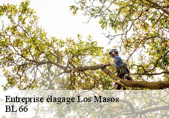 Entreprise élagage los-masos-66500 BL 66