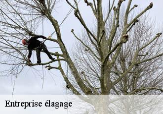 Entreprise élagage