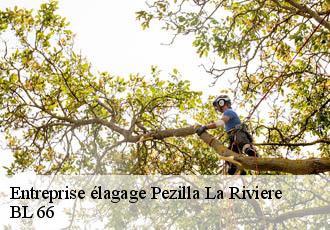 Entreprise élagage pezilla-la-riviere-66370 BL 66