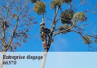 Entreprise élagage 66370