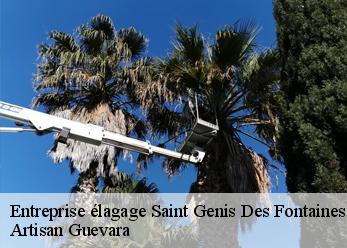 Entreprise élagage  saint-genis-des-fontaines-66740 Artisan Guevara